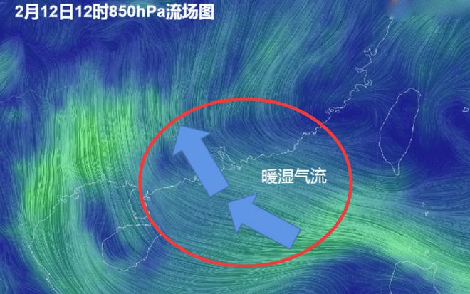 超级大回暖，南方多地将直奔20度