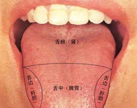 男子分享撞墙功后舌底青筋对比，身体变化的见证