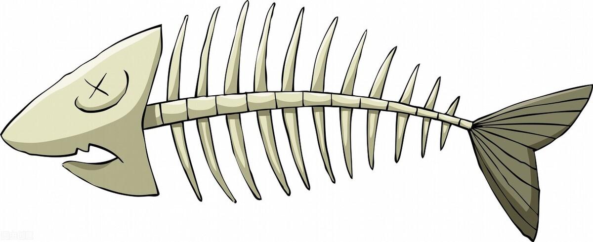 鱼刺卡喉，馒头能否解忧？——深度解析