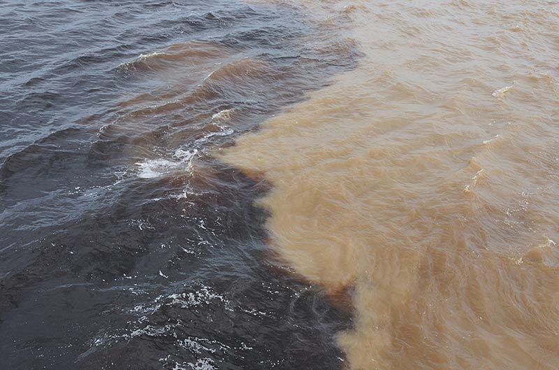 揭秘黄河鱼入海之谜，淡水鱼的海洋漂流之旅与归宿何在？澳门视角下的深度解读。