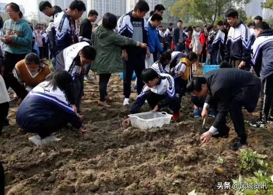 勤耕接续，农业丰饶——香港视角的深度解读