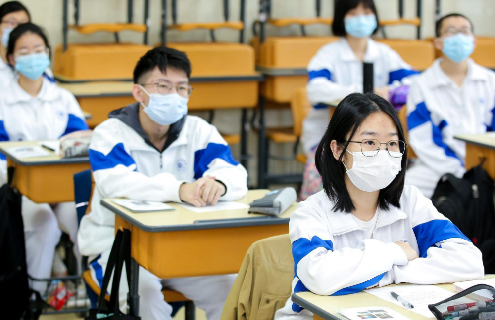 农学生种出银环蛇甘蔗，奇迹背后的故事与挑战！探寻未知农业创新之路。