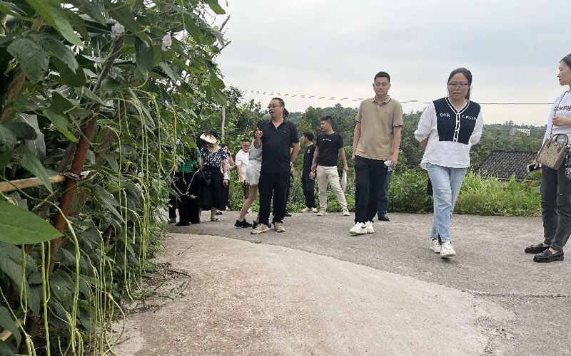 四川泸州农村聚餐禁令揭秘，为何四季豆成为餐桌上的禁果？