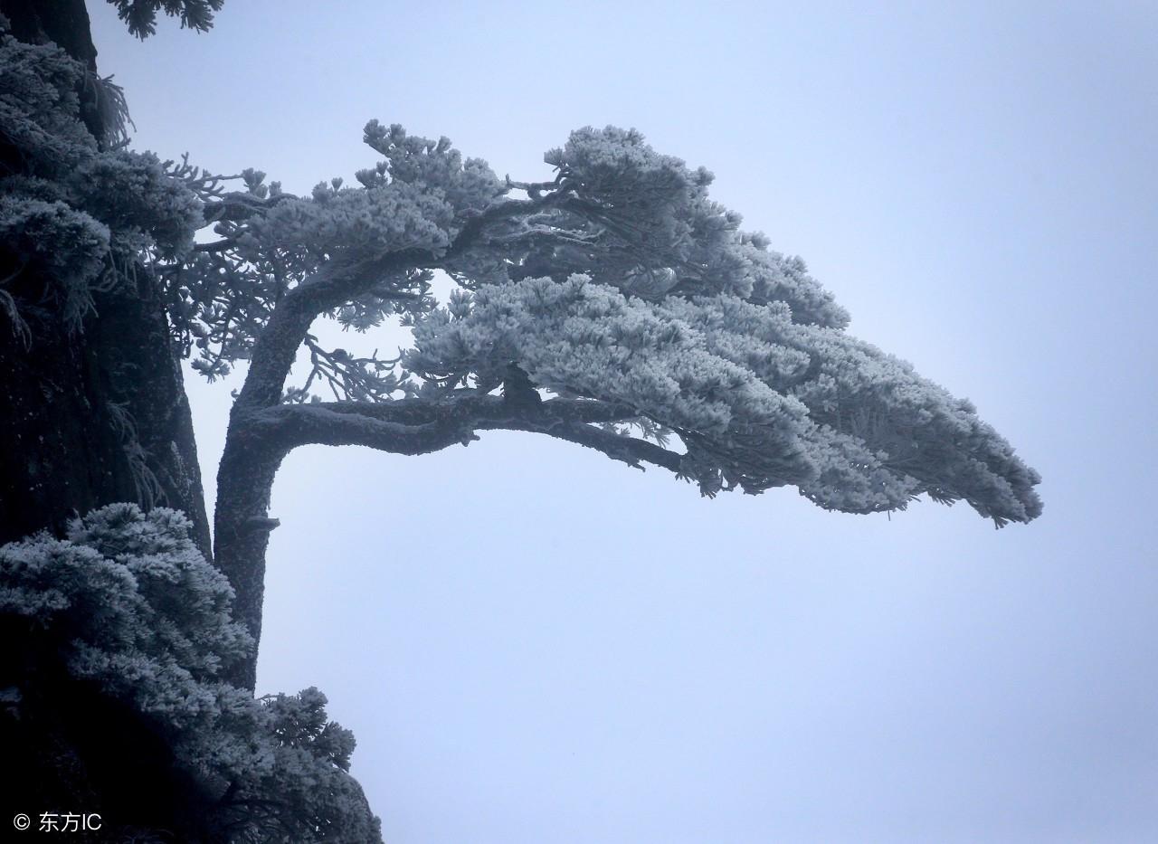 惊！黄山遭遇罕见大雪，游客意外头朝下滑落险象环生！