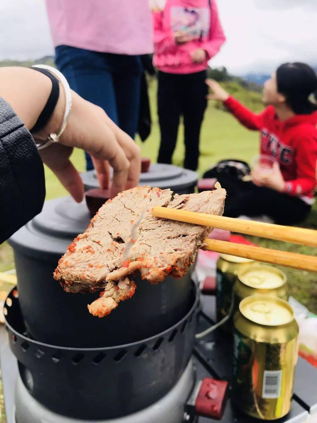 女子露营烤牛肉遭遇牛群盛宴，惊魂之夜揭秘事件真相