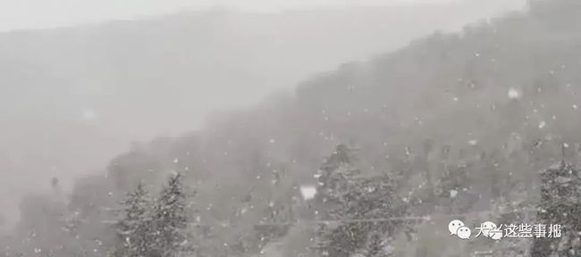 关于北京竟然下雪了: